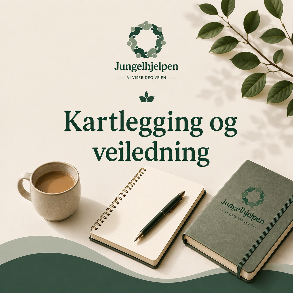 Kartlegging og veiledning